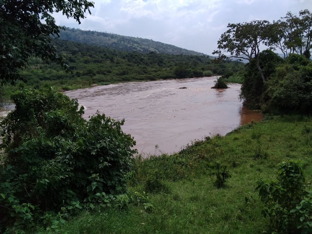 River environmental assessment